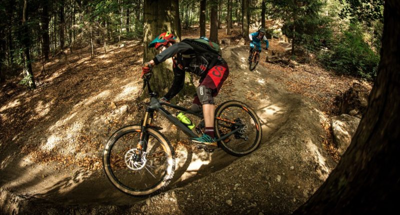 MTB Kurs S4: Trail Expert – Bild 3