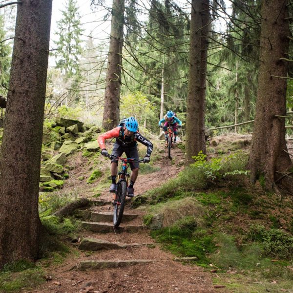 MTB Kurs S2: Trail Basics