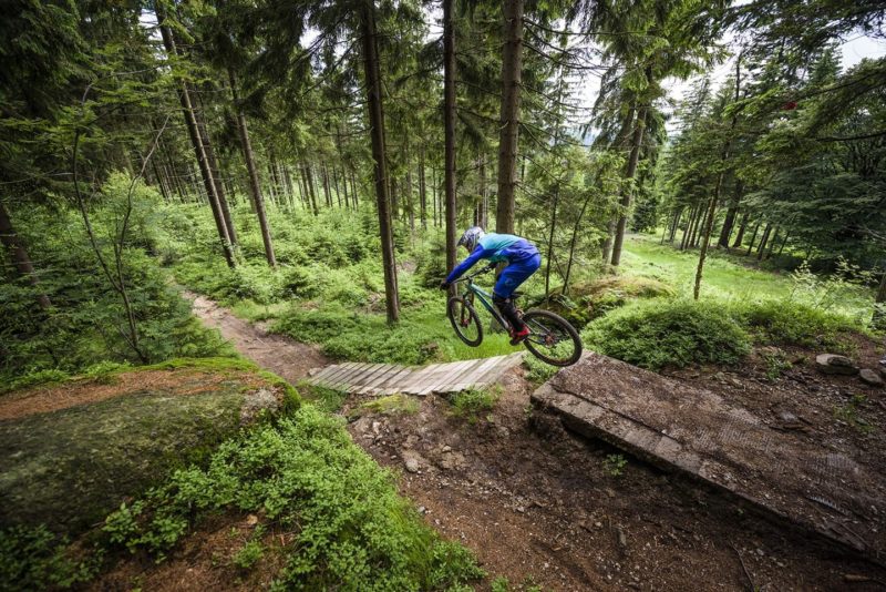 Bikepark Camp S1+S2 – Bild 2