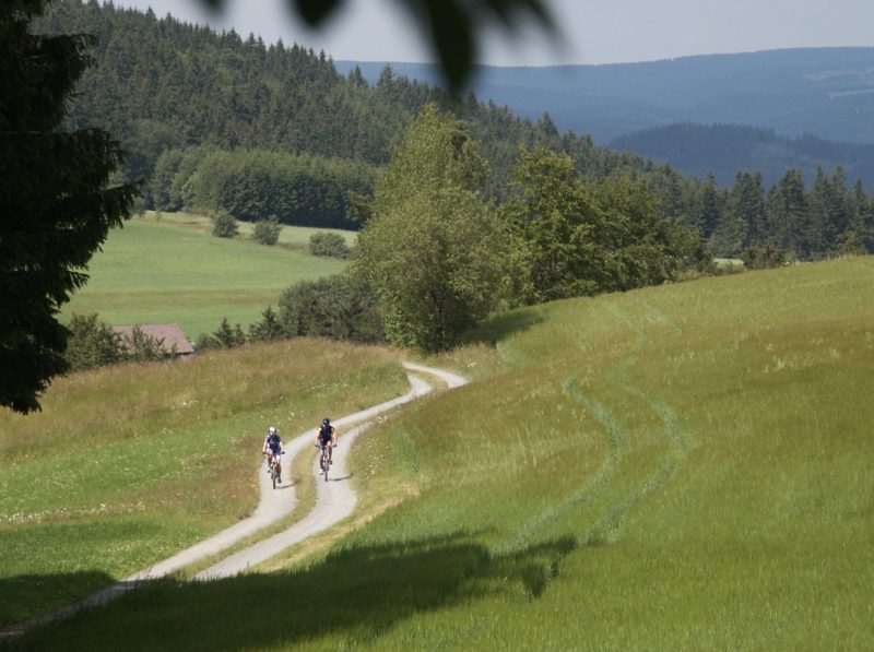 Individualreise Grünes Band – Bild 2