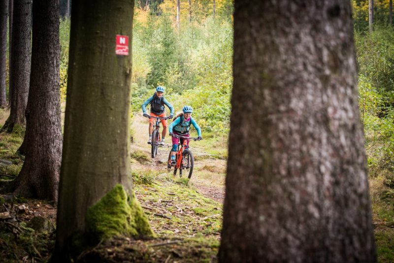 MTB Kurs S1: Einsteiger – Bild 5