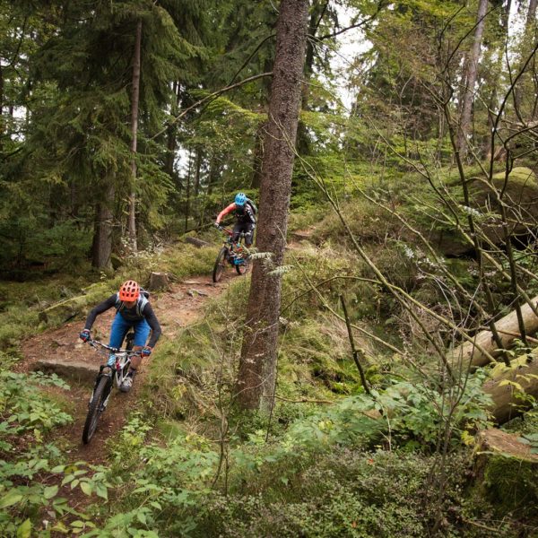 MTB Camp S2 individuell