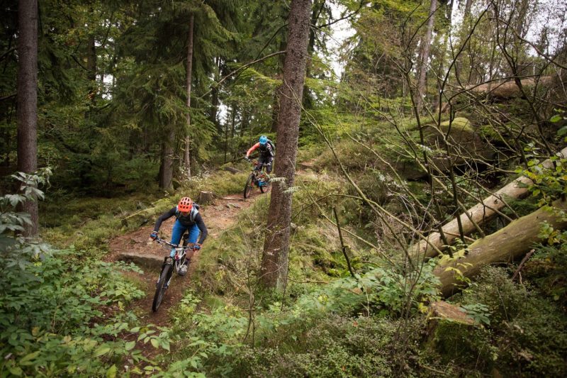 MTB Camp S2 individuell