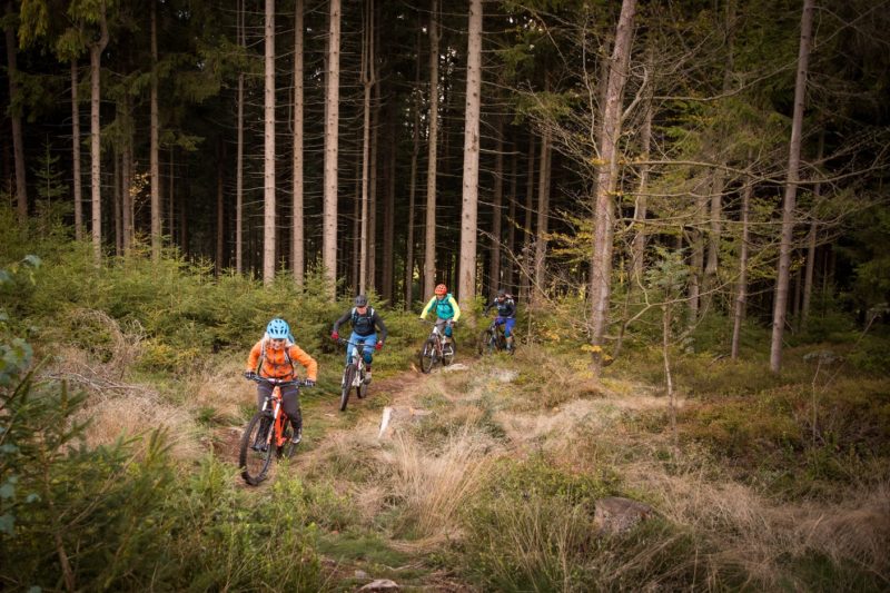 MTB Camp S2 individuell – Bild 3
