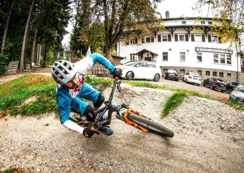 bullhead bike