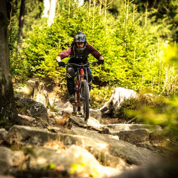 Bikepark S1: Park Basics