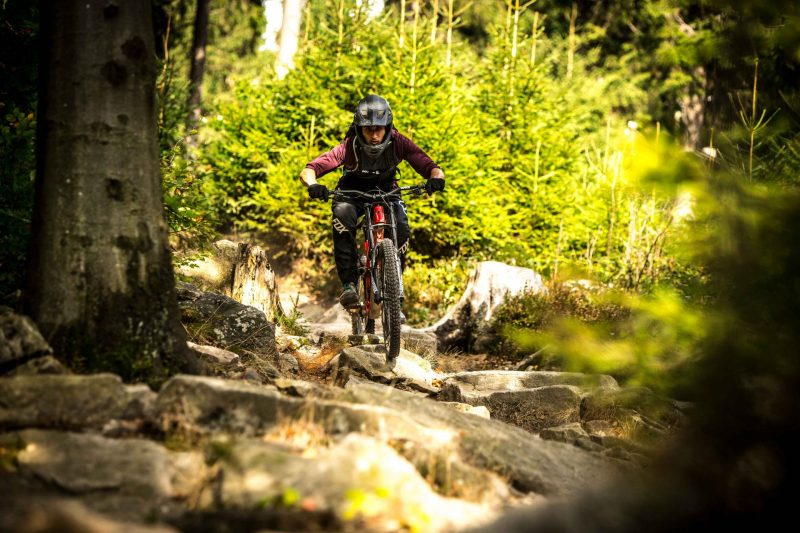 Bikepark S1: Park Basics