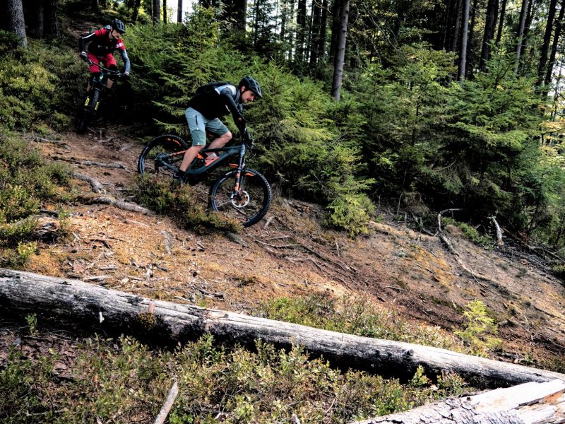 E-MTB Skillride Days S3 - Technik on Trail – Bild 4