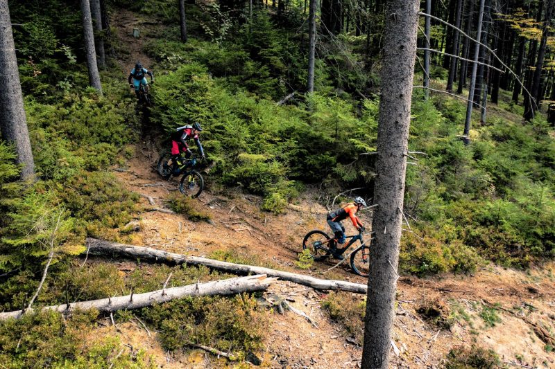 E-MTB Kurs S2: Trailbiker – Bild 3