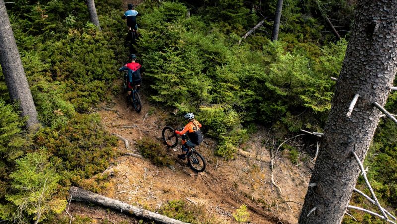 E-MTB Skillride Days S3 - Technik on Trail – Bild 5