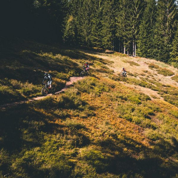E-MTB Kurs S2: Trailbiker
