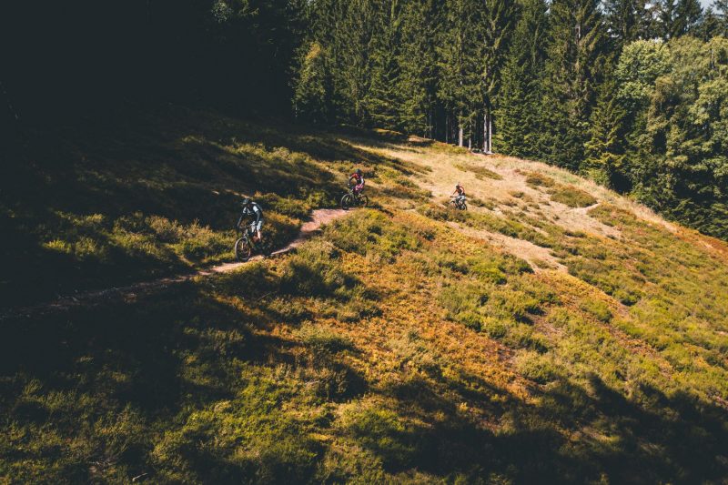 E-MTB Kurs S2: Trailbiker