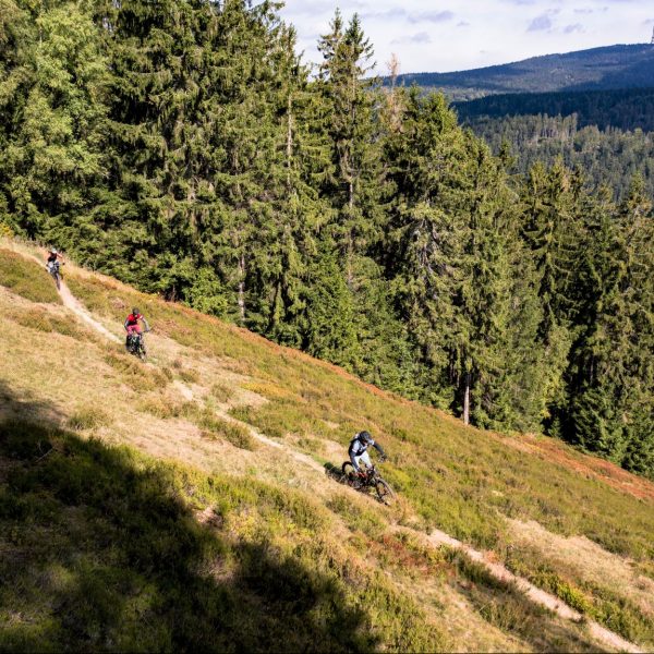 3-Länder Trail-Abenteuer MTB