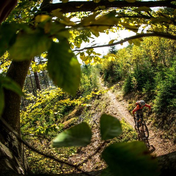 E-MTB Kurs S1: Einsteiger
