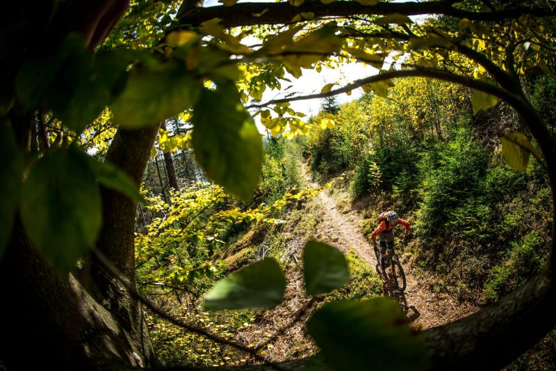 E-MTB Kurs S1: Einsteiger