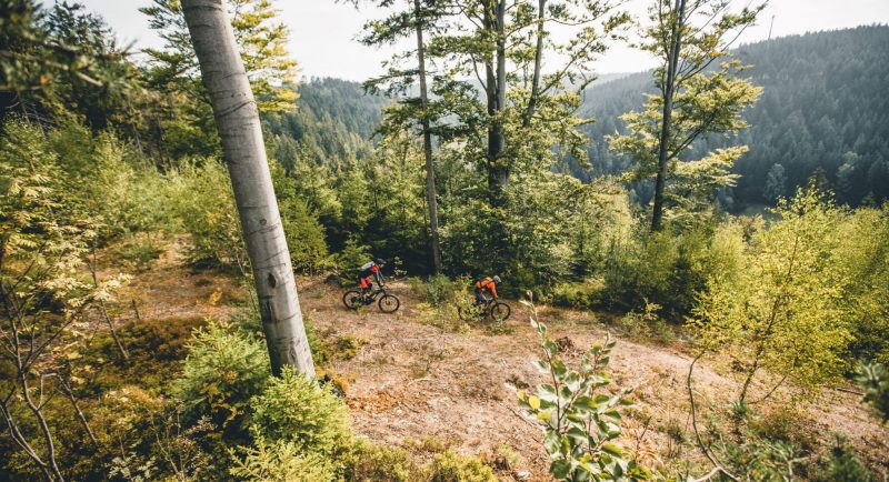 E-MTB Camp S2 individuell – Bild 3