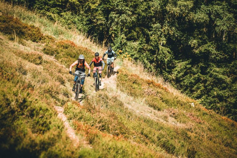 E-MTB Kurs S2: Trailbiker – Bild 2