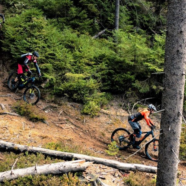 E-MTB Skillride Days S2 - Technik on Trail