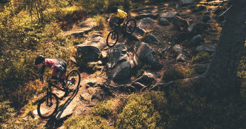 E-MTB Camp S3 individuell – Bild 3