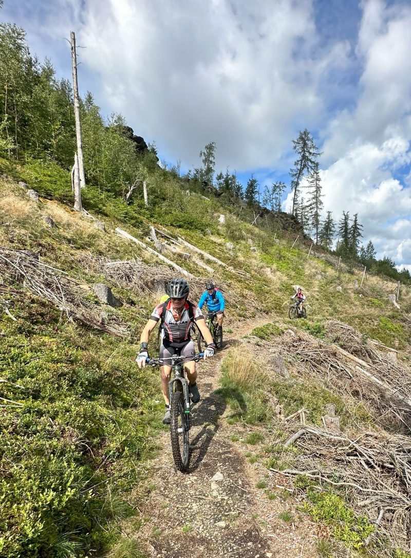 3-Länder Trail-Abenteuer MTB – Bild 3