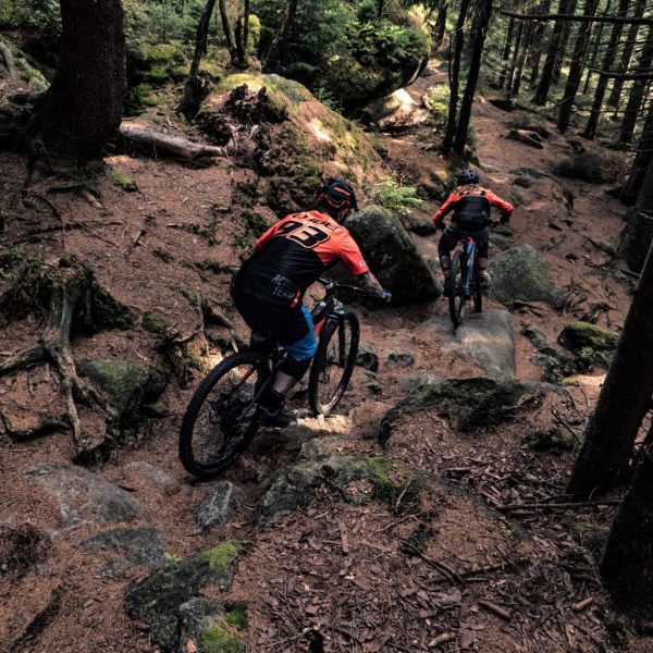 E-MTB Skillride Days S3 - Technik on Trail